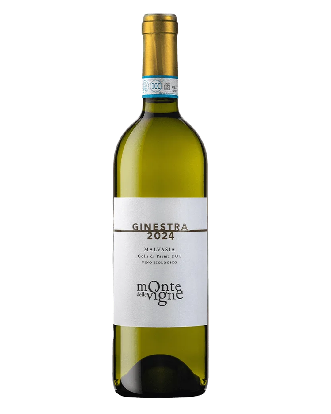 GINESTRA 2025