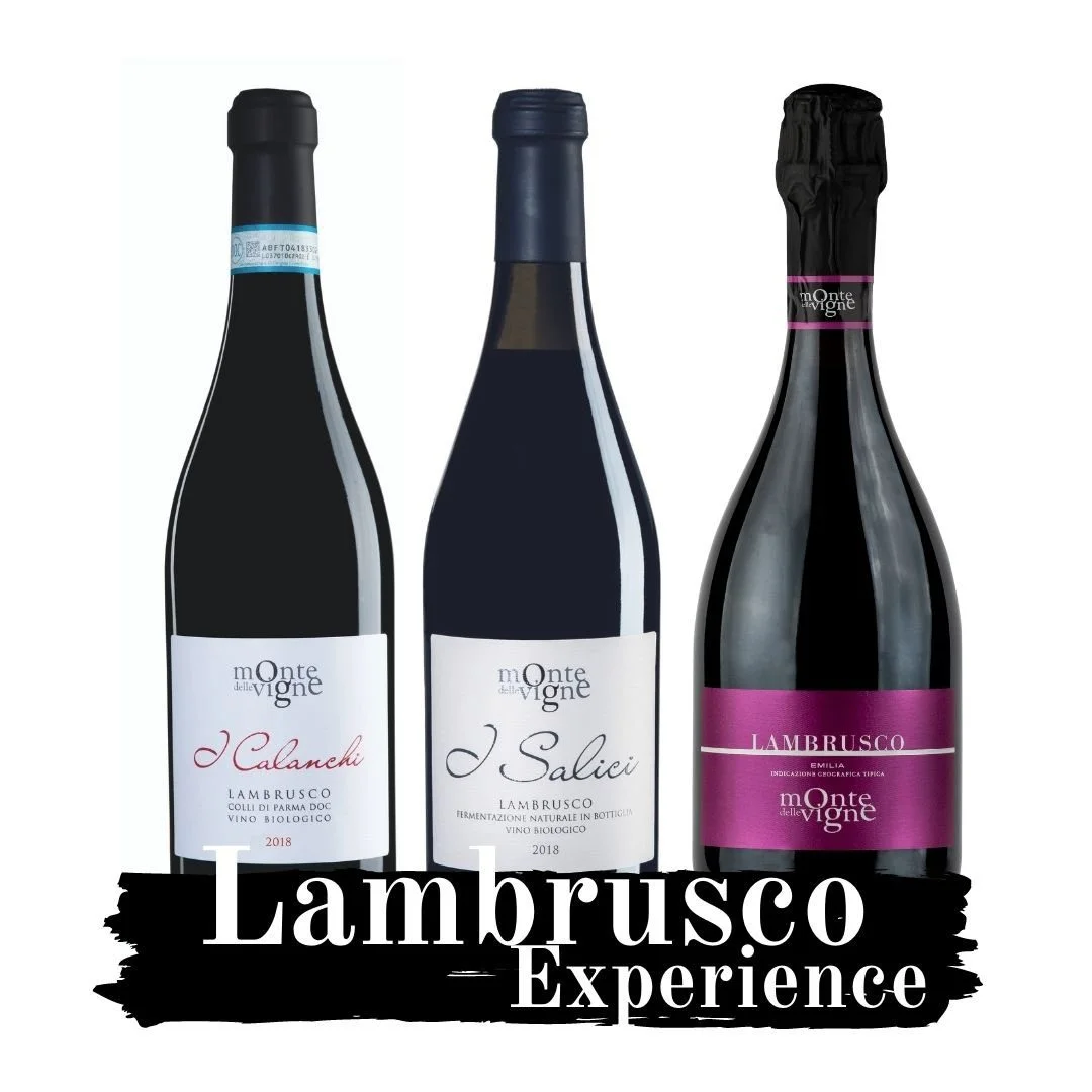 Lambrusco Experience | 6 bottiglie